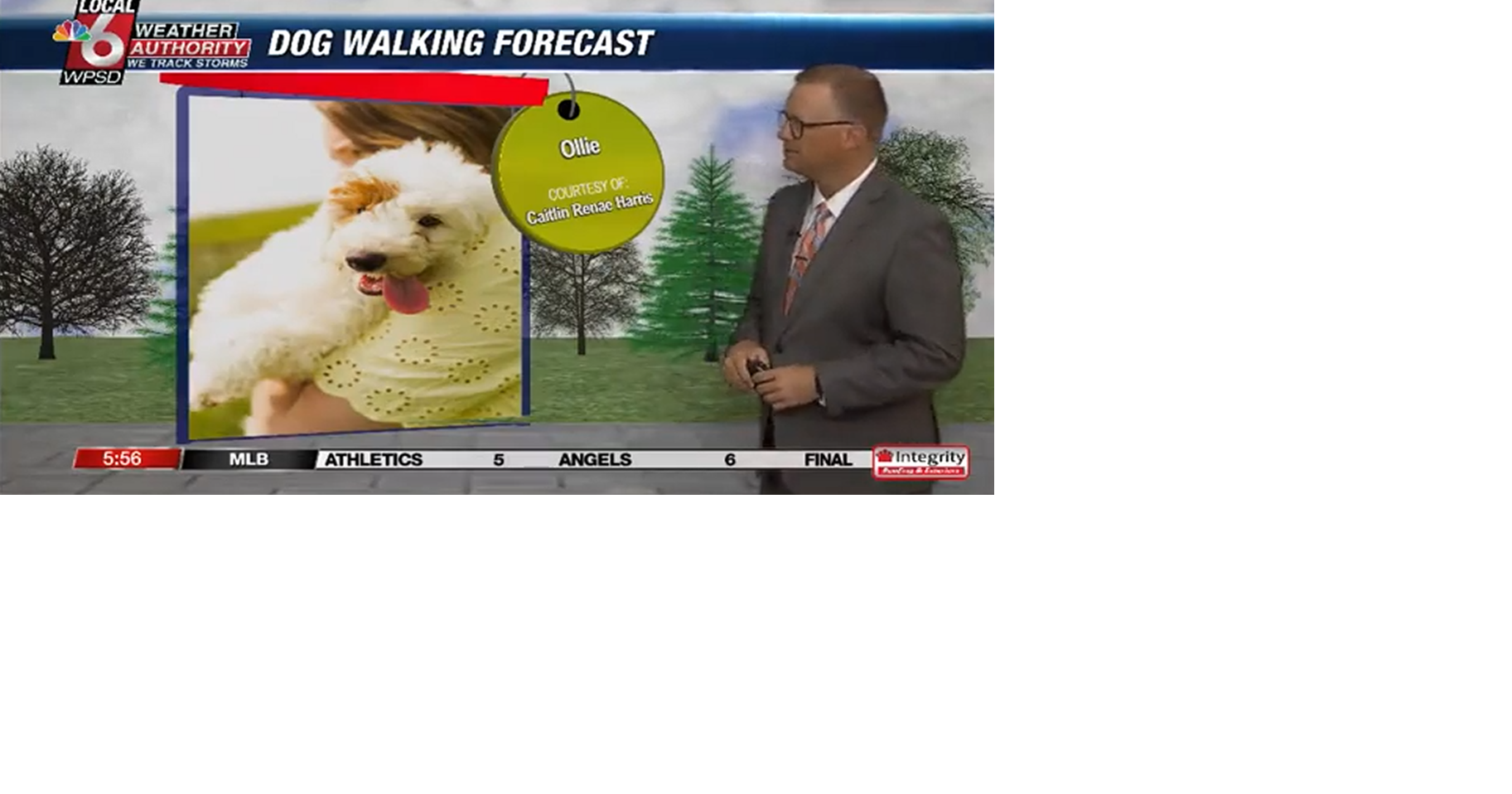 Dog walking forecast 6.12.25