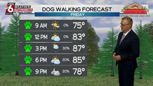 Dog Walking Forecast 7.31.26 Dog Walking Forecast 7.31.26