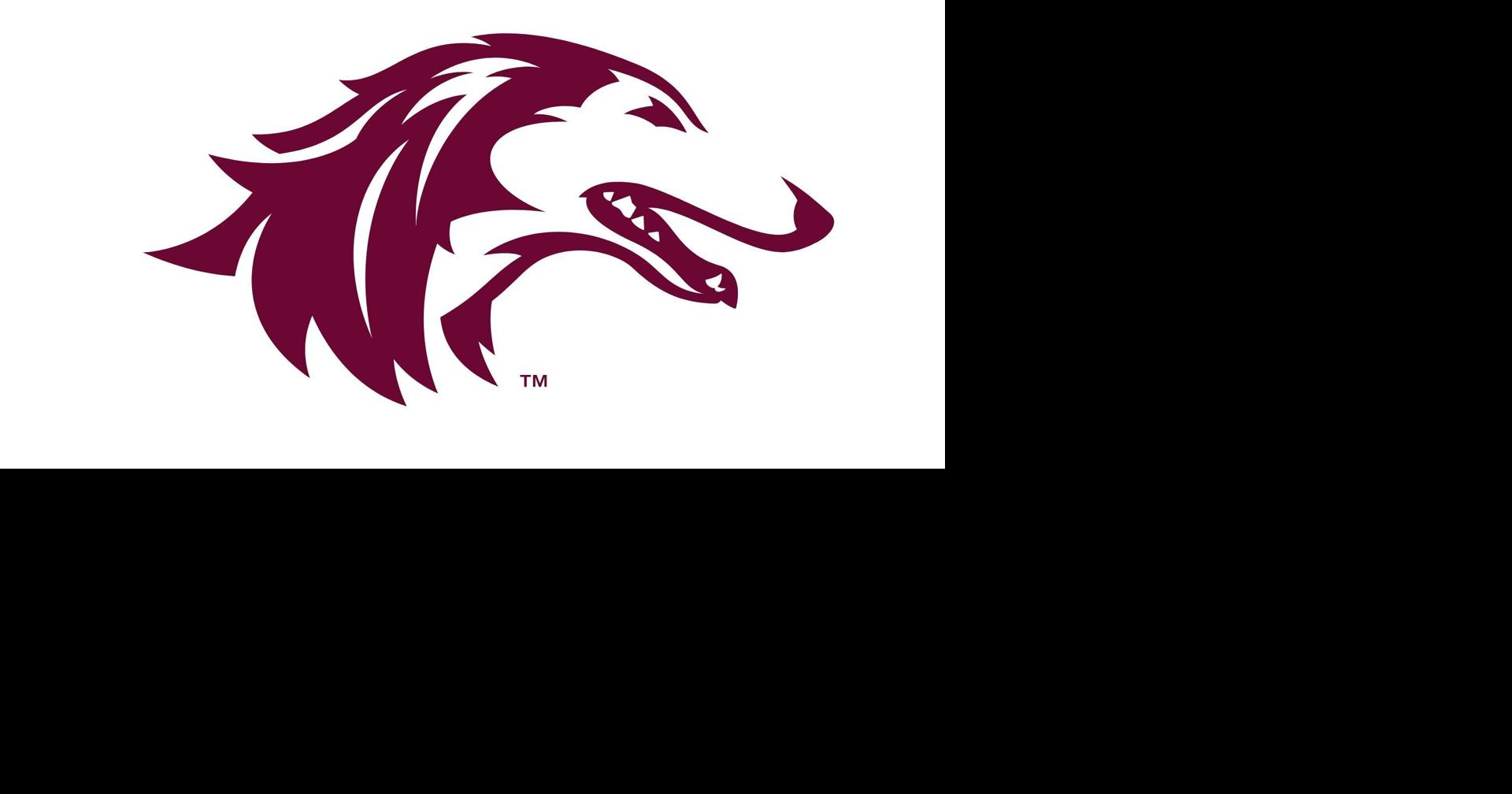 Southern Illinois University Carbondale to host Book/Vinyl and Media Sale