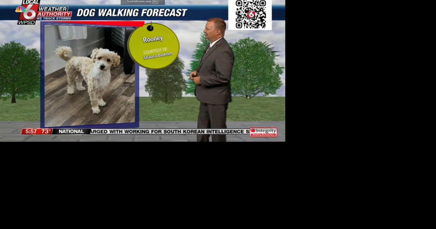 Dog walking forecast 7.17.24 | Weather