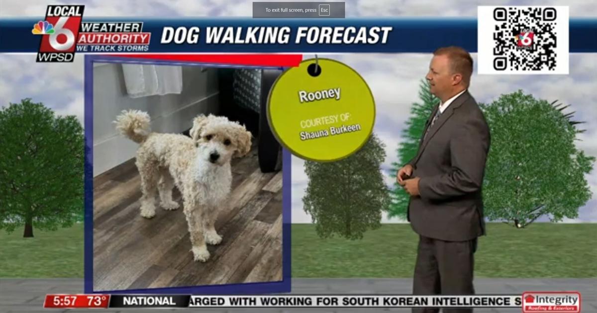 Dog walking forecast 7.17.24 | Weather Dog walking forecast 7.17.24 | Weather