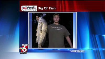 1 8 Big Ol Fish Big Ol Fish Wpsd Local 6