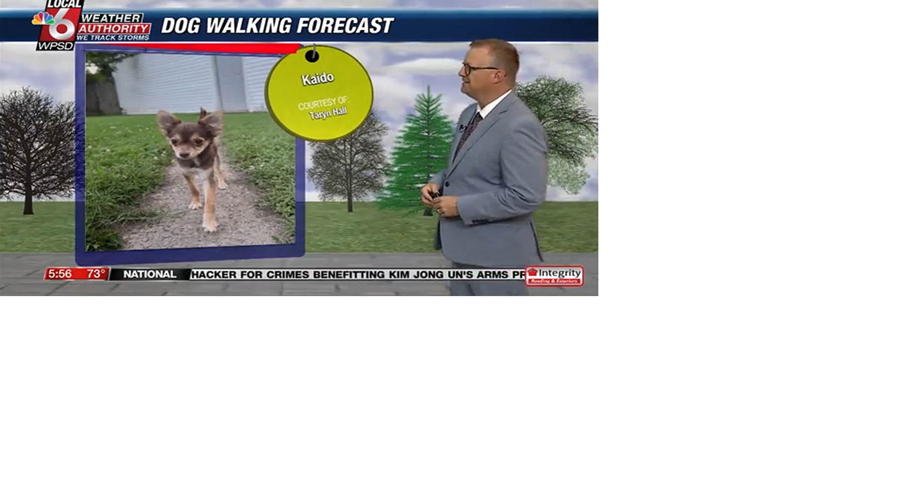 Dog walking forecast 7.9.25