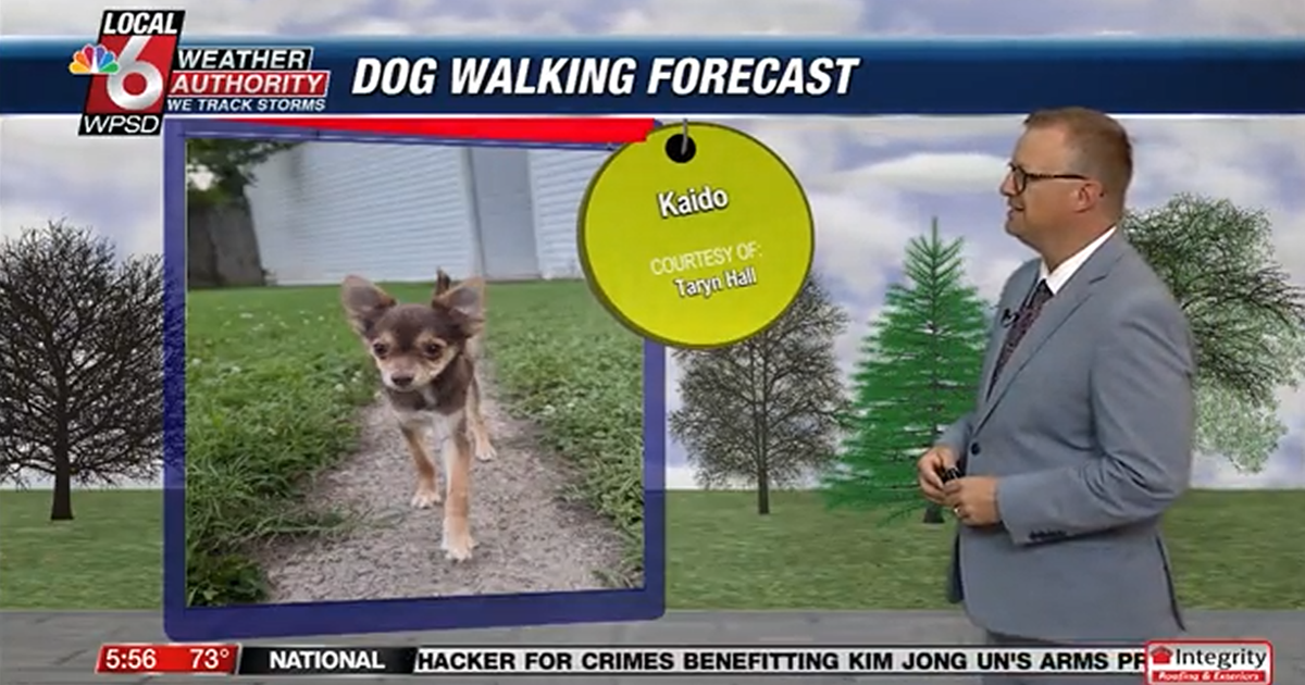 Dog walking forecast 7.9.25 Dog walking forecast 7.9.25