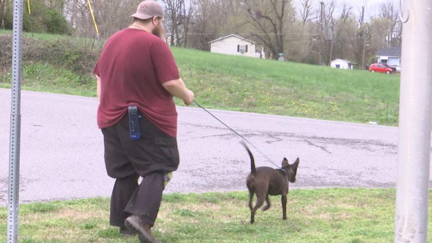 MayfieldGraves County Animal Shelter shares impact of COVID19 News