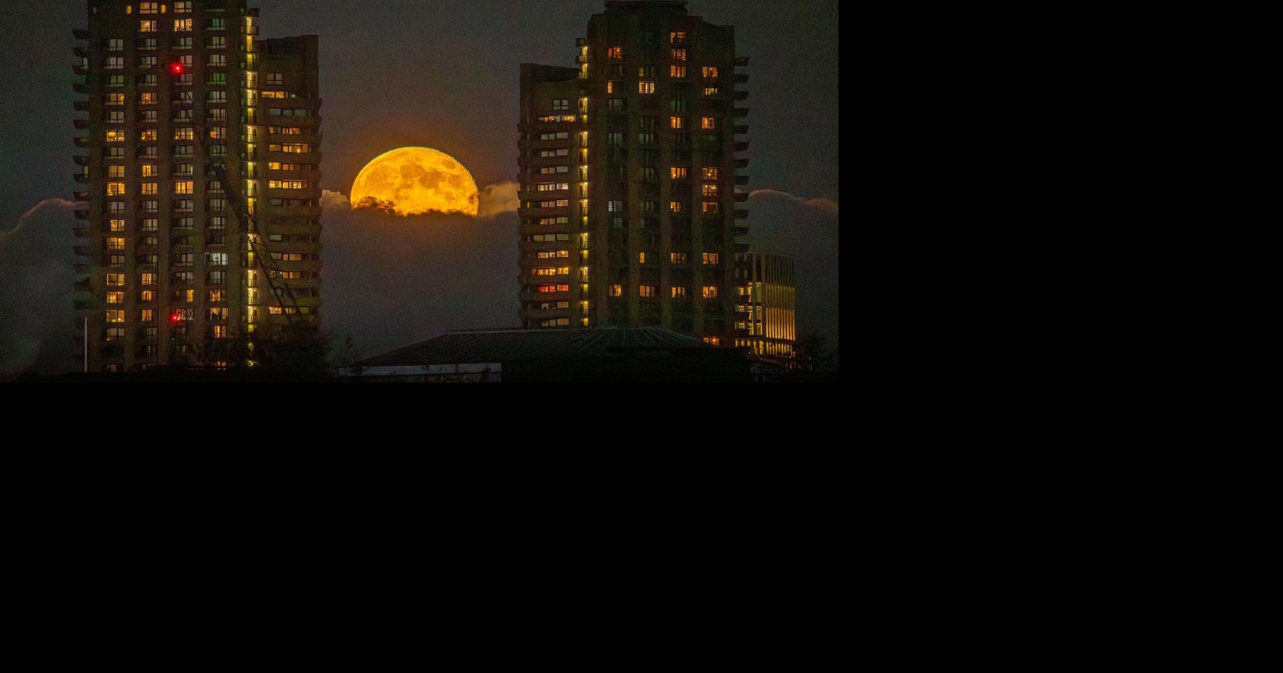 The last supermoon of the year will peak alongside the Leonid meteor ...