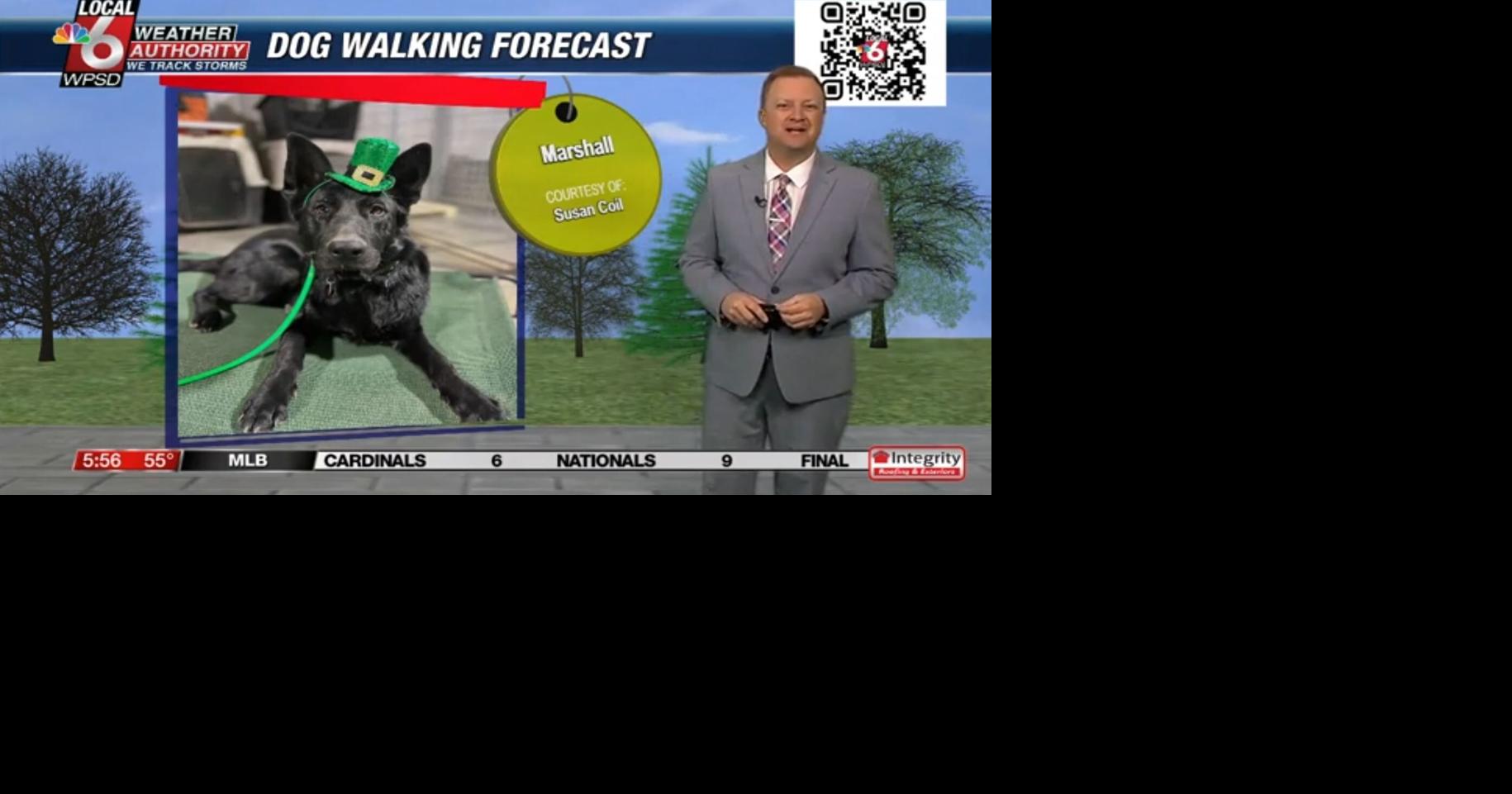 Dog walking forecast 3.18.25