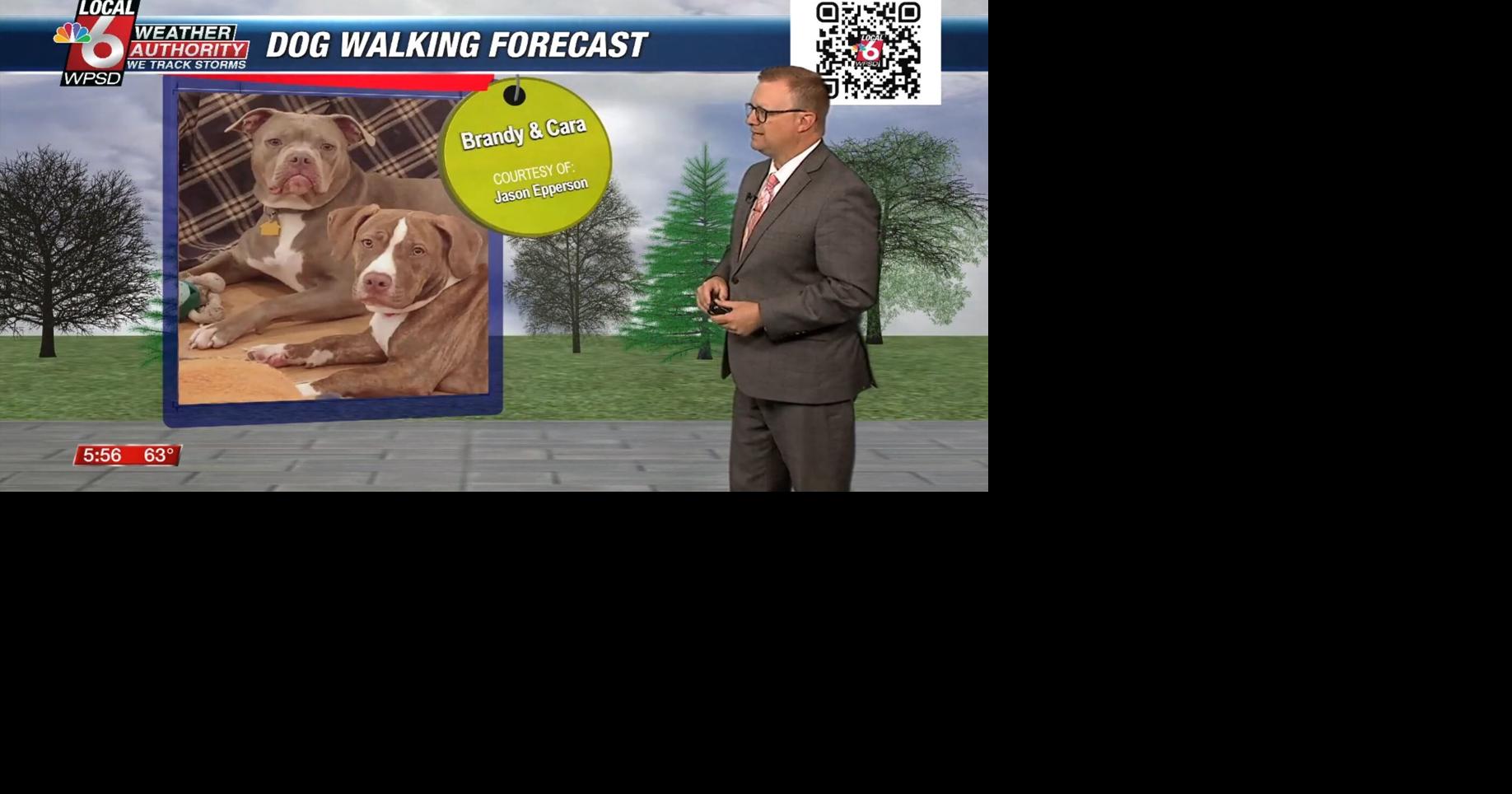 Dog walking forecast 4.30.25