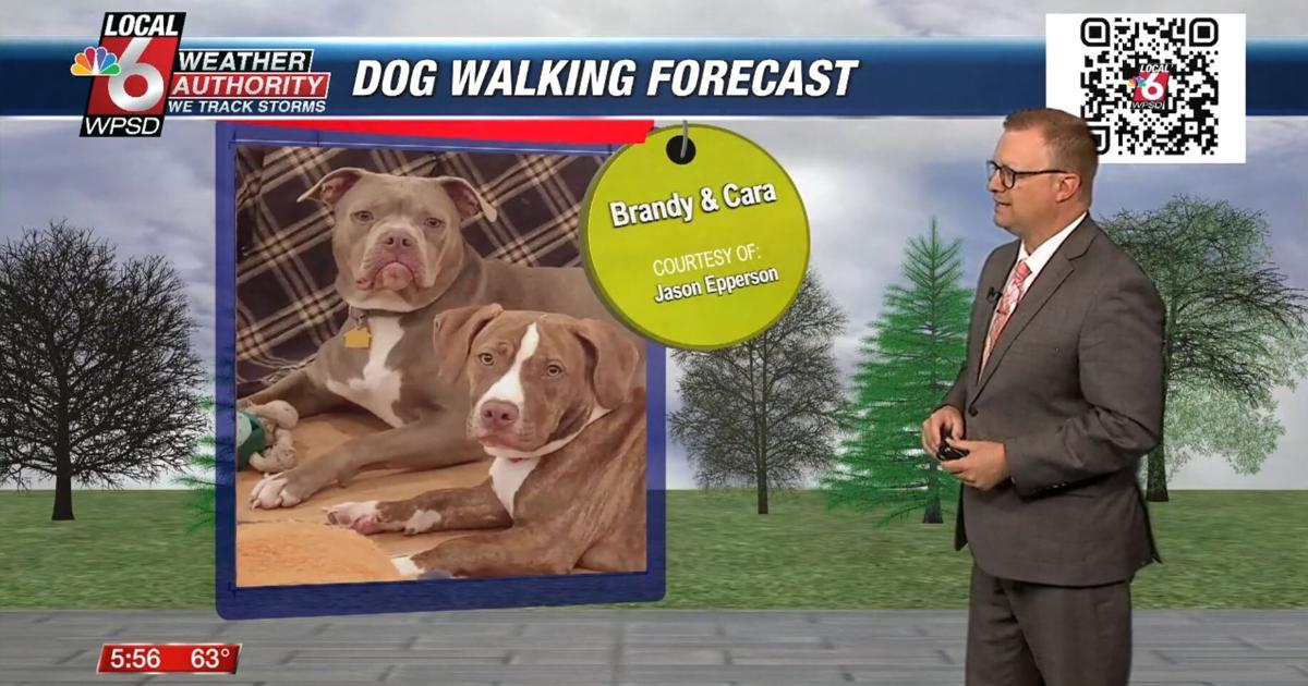 Dog walking forecast 4.30.25 Dog walking forecast 4.30.25