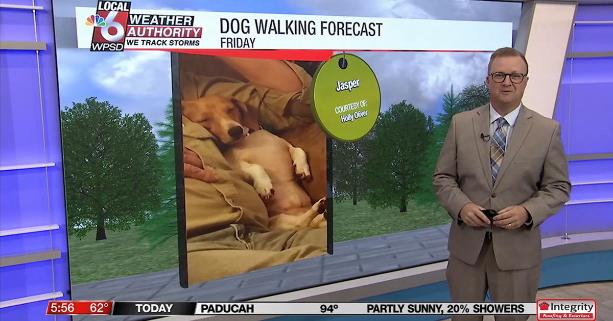 Dog walking forecast 9.19.25 Dog walking forecast 9.19.25