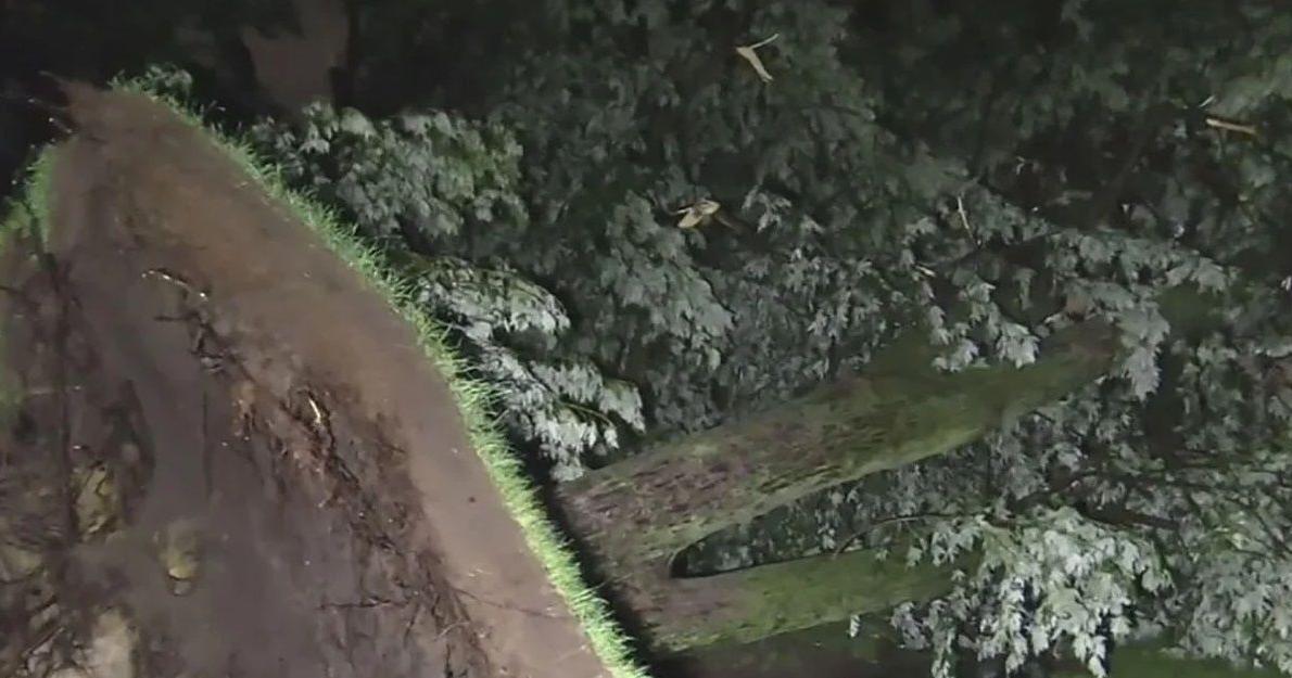 Read MoreNew round of storms rips down trees in parts of Chicago area