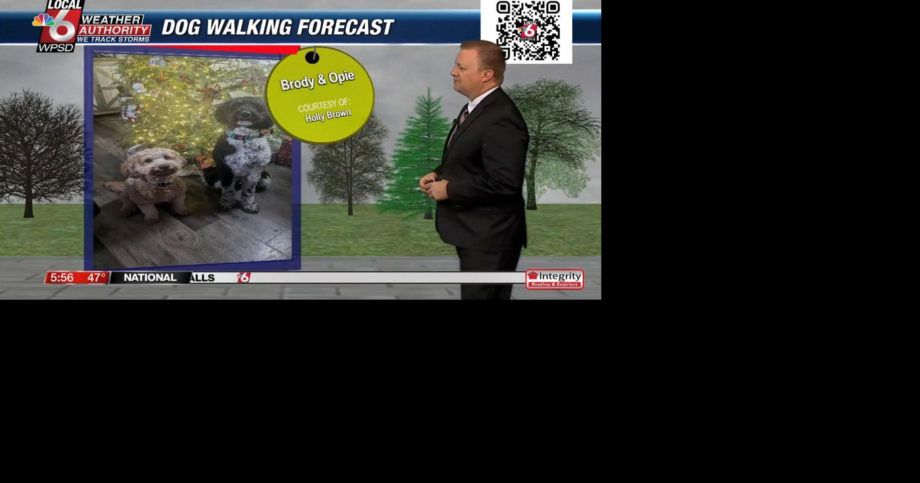 Dog walking forecast 12.10.24