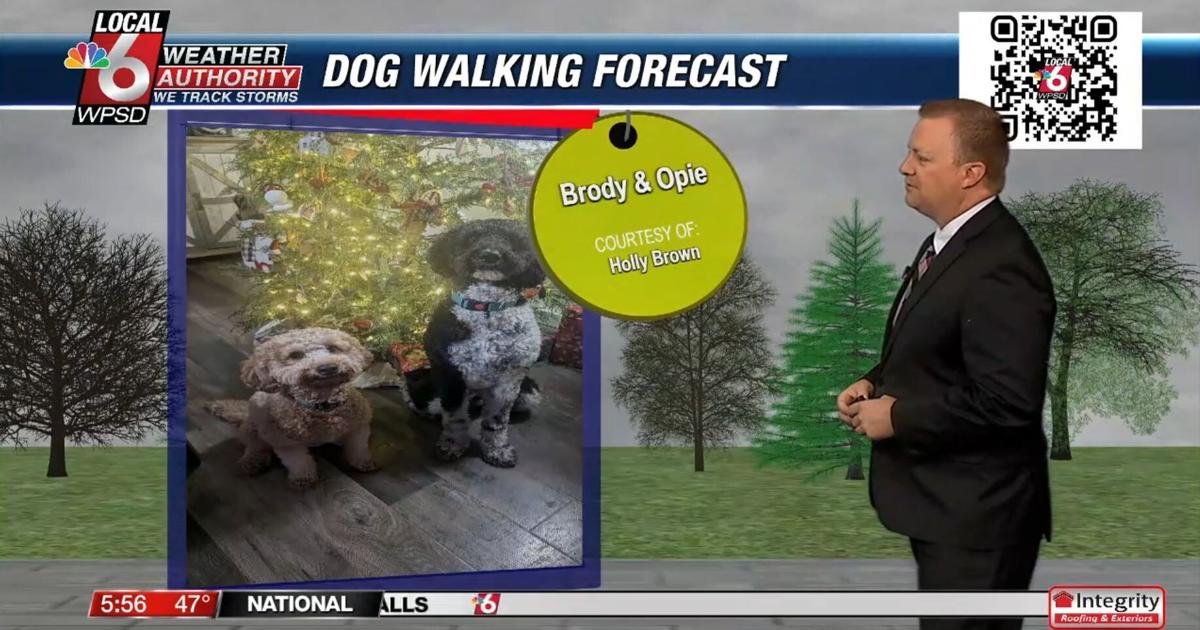 Dog walking forecast 12.10.24 Dog walking forecast 12.10.24