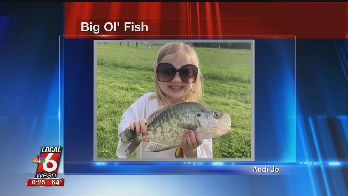 5 18 Big Ol Fish Sports Wpsd Local 6