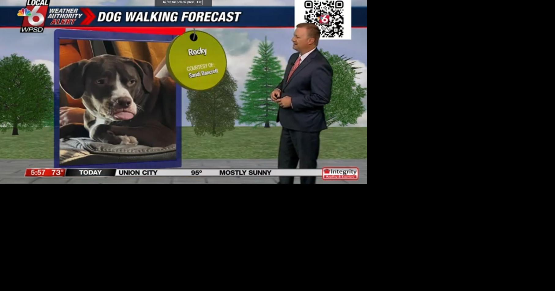 Dog Walking Forecast 7.31.24 | Weather