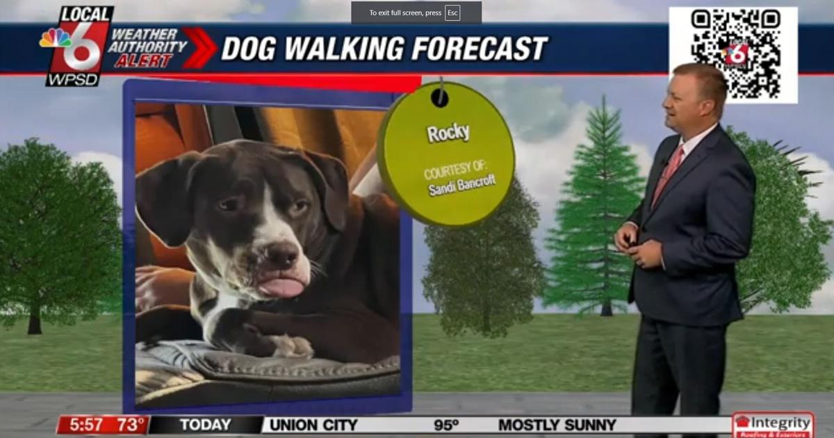 Dog Walking Forecast 7.31.24 | Weather Dog Walking Forecast 7.31.24 | Weather