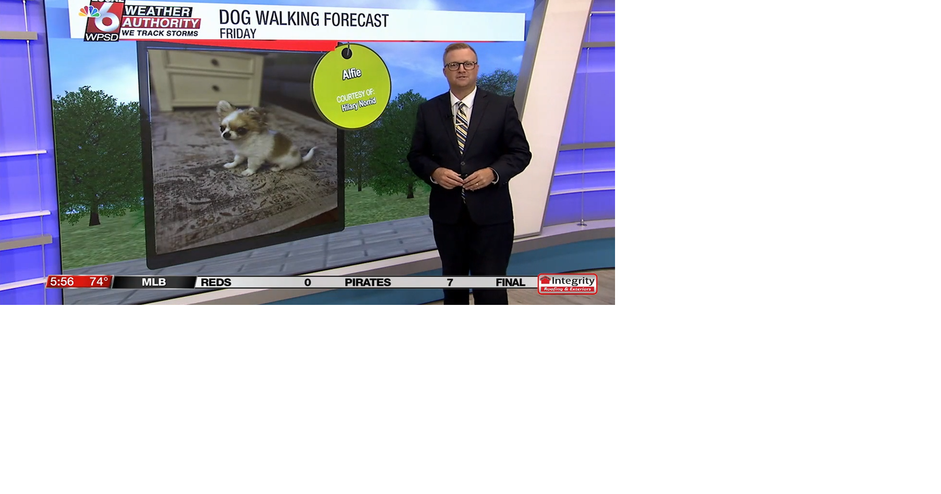 Dog walking forecast 8.8.25 | Weather