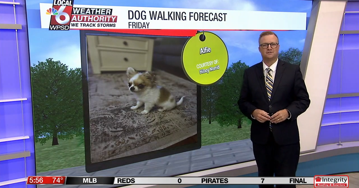 Dog walking forecast 8.8.25 | Weather Dog walking forecast 8.8.25 | Weather