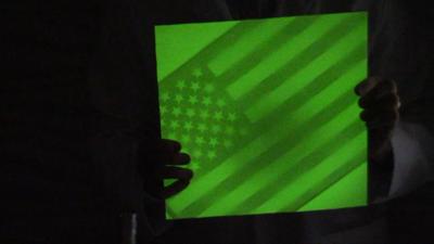 PICTURE-Capture-a-Shadow