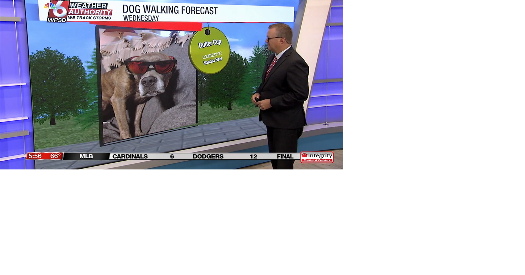 Dog walking forecast 8.6.25