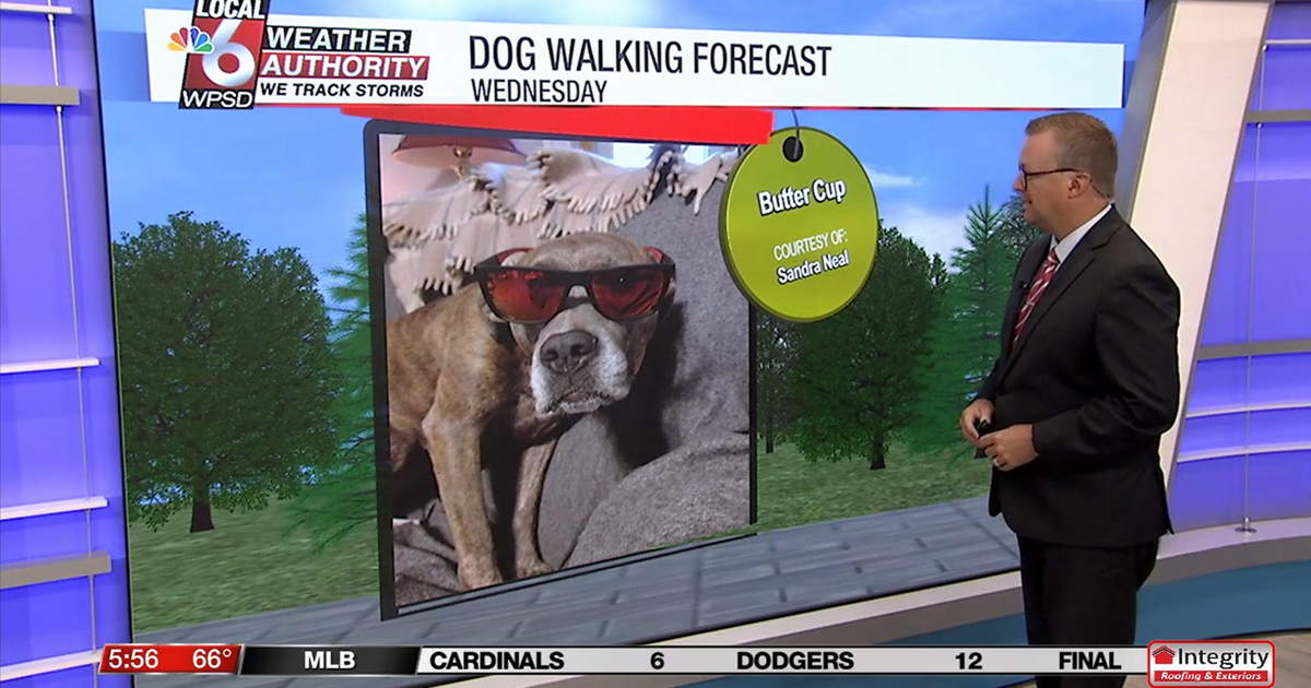 Dog walking forecast 8.6.25 Dog walking forecast 8.6.25