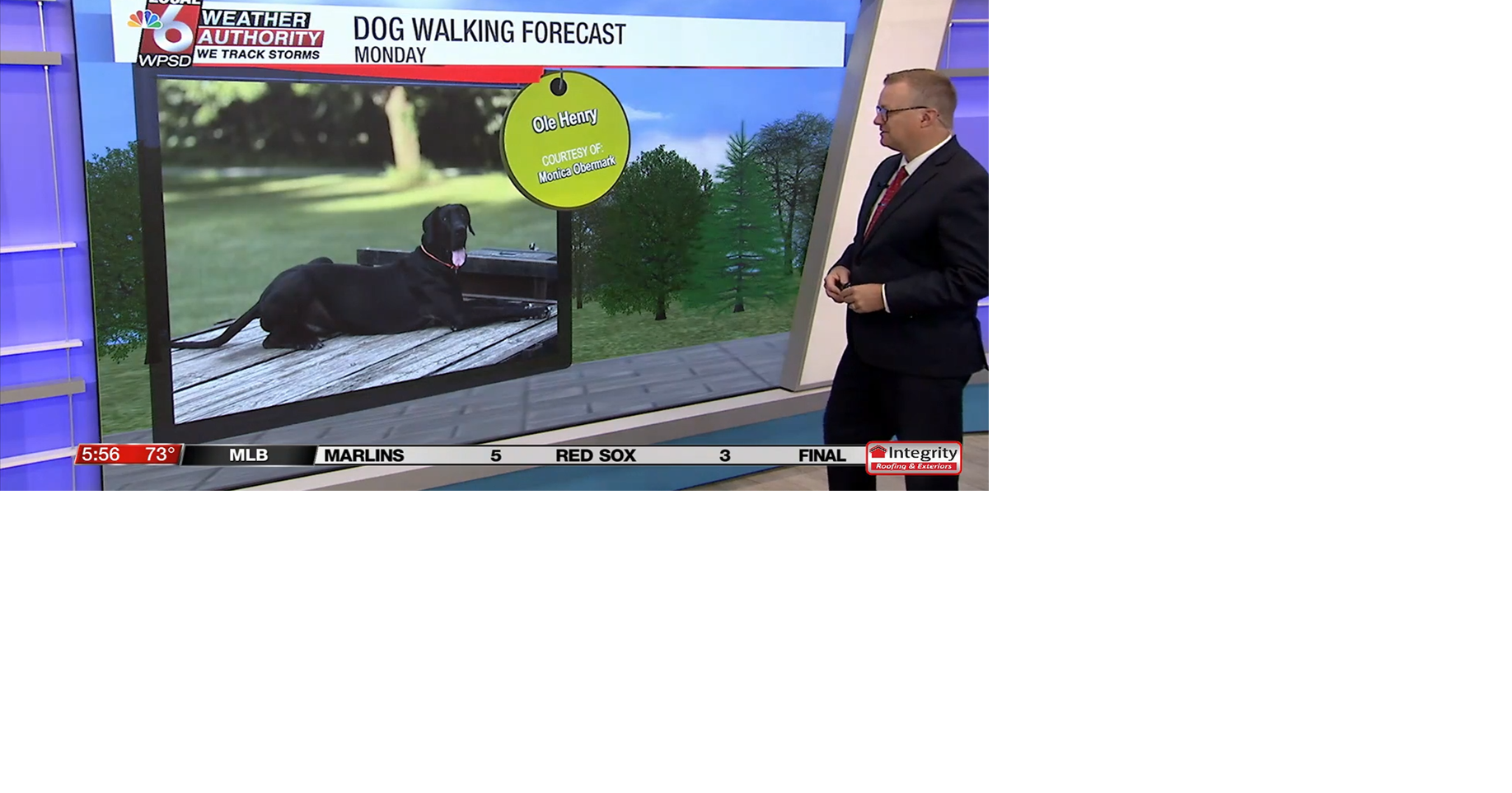 Dog walking forecast 8.18.25 | Weather