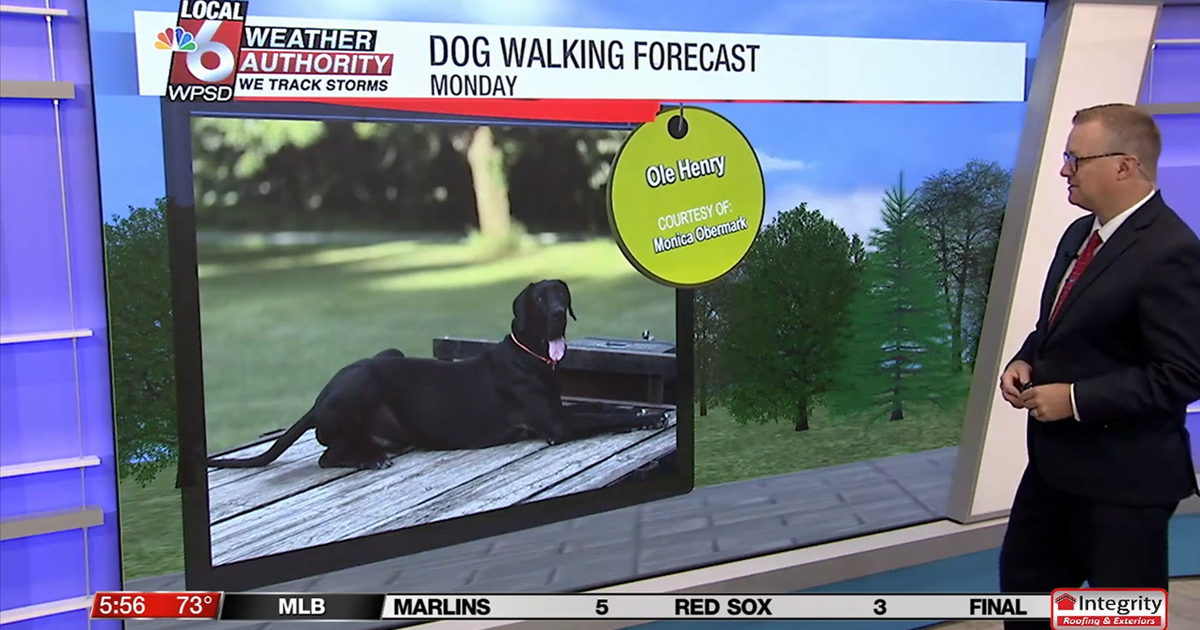 Dog walking forecast 8.18.25 | Weather Dog walking forecast 8.18.25 | Weather