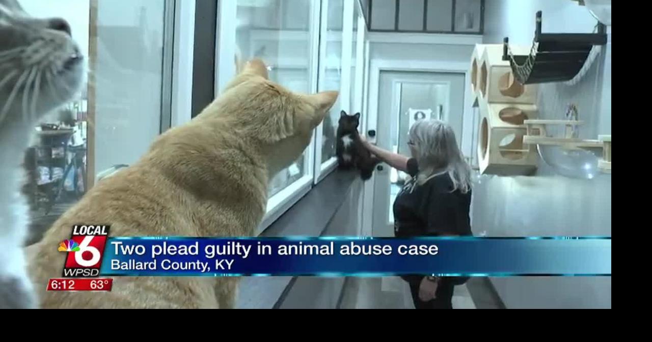 Rescue reflects on Cowen animal seizure after guilty pleas