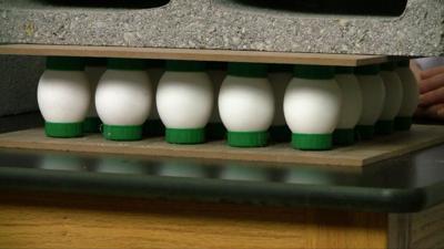 picture-UNBREAKABLE-EGGS