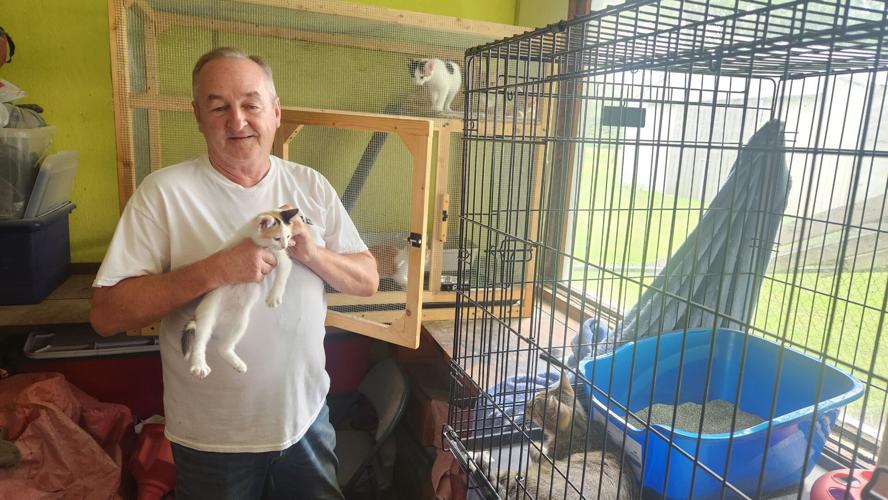 Marshall County Fiscal Court issues apology after kittens given drug