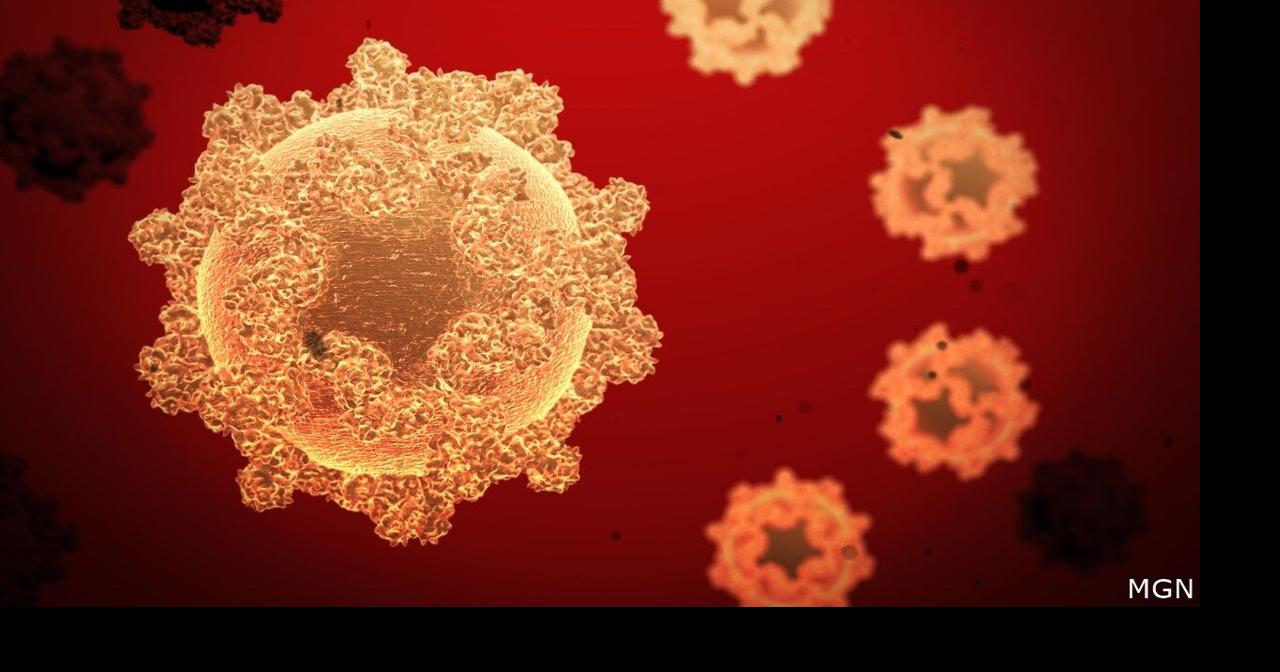 Eau Claire City-County Health Department reflects on five years of COVID-19 pandemic | Eye On Eau Claire | wqow.com