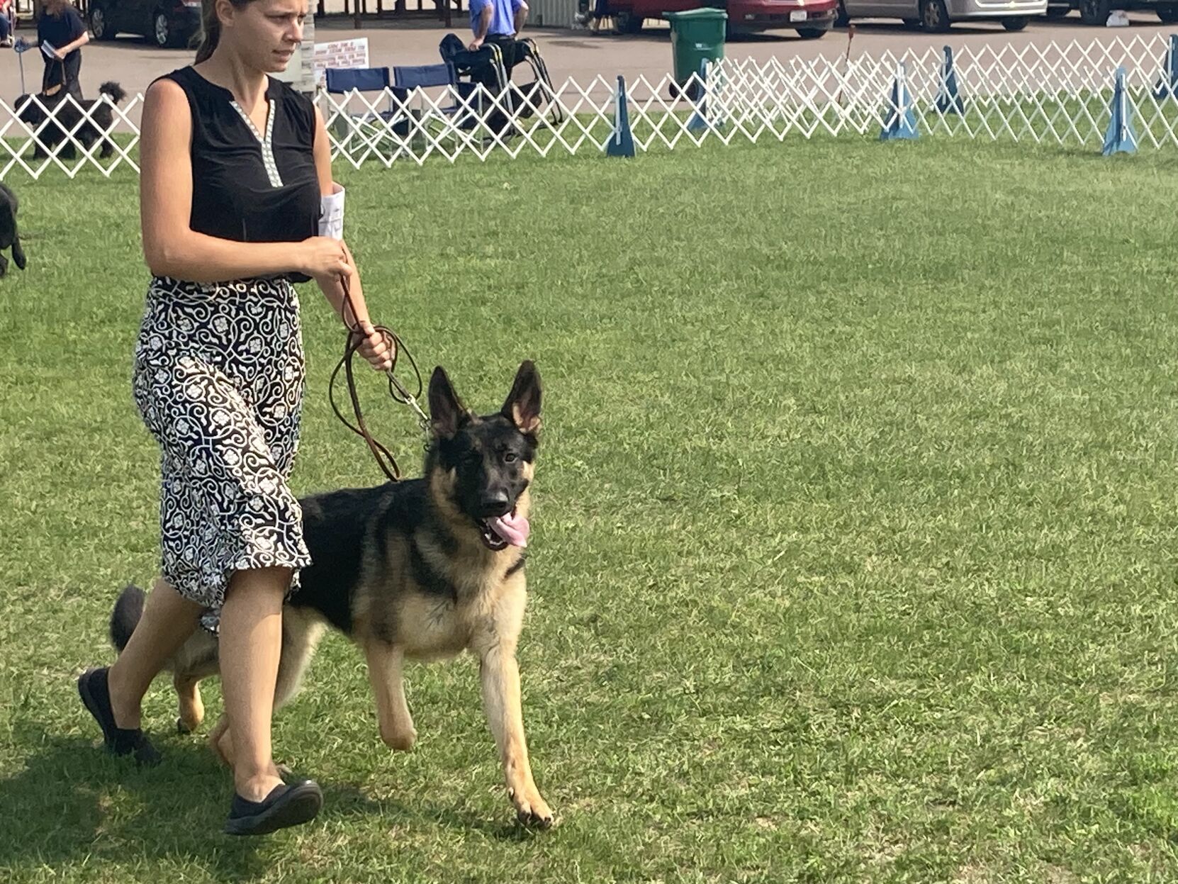 I love coming to this show Indianhead Kennel Club hosts annual