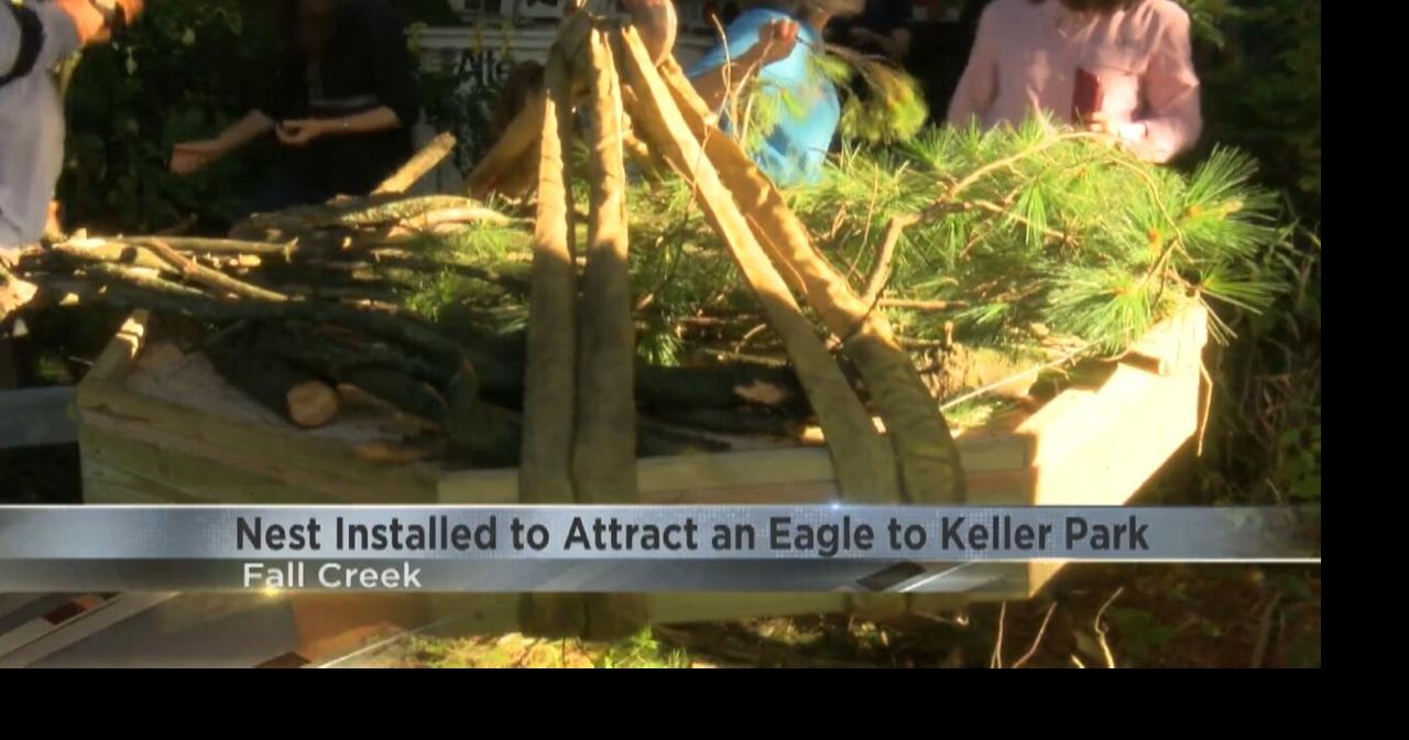 Wooden nest installed in Fall Creek to attract an eagle Positively