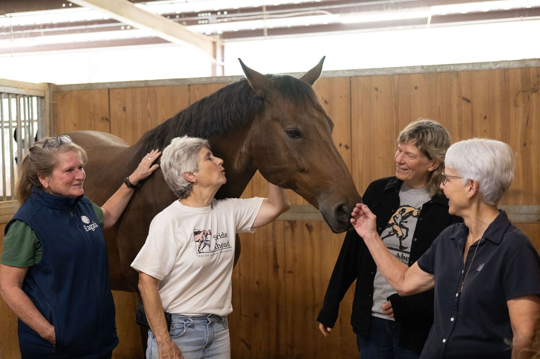 How Horses Can Soothe The Soul And Help Your Mental Health | | Wqow.com