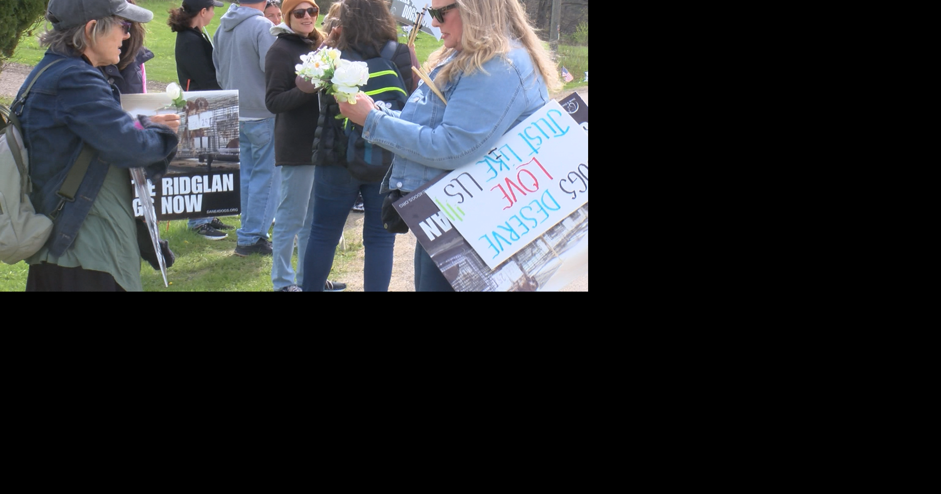 Animal activists protest outside Ridglan Farms | Wisconsin News | wqow.com