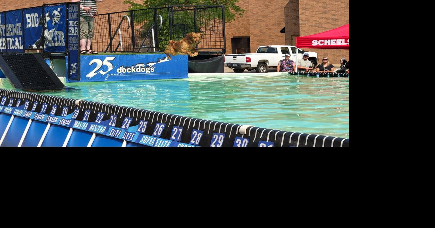 Dock Dogs jump in the water at 10th Scheels Hunting Expo | Eye On Eau ...