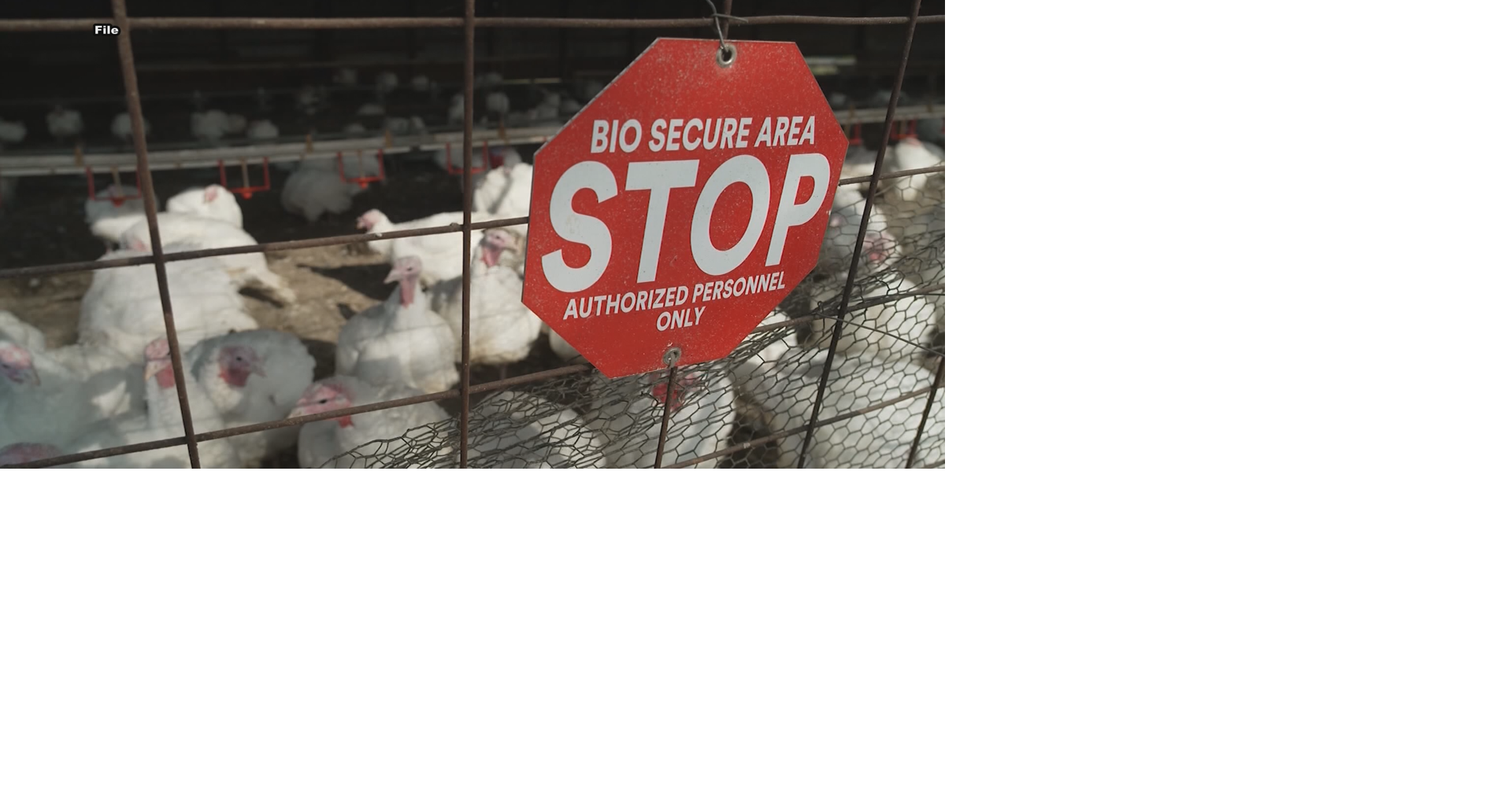 UW-Madison veterinary lab in Barron set to receive $19.5-million in renovations and expansion