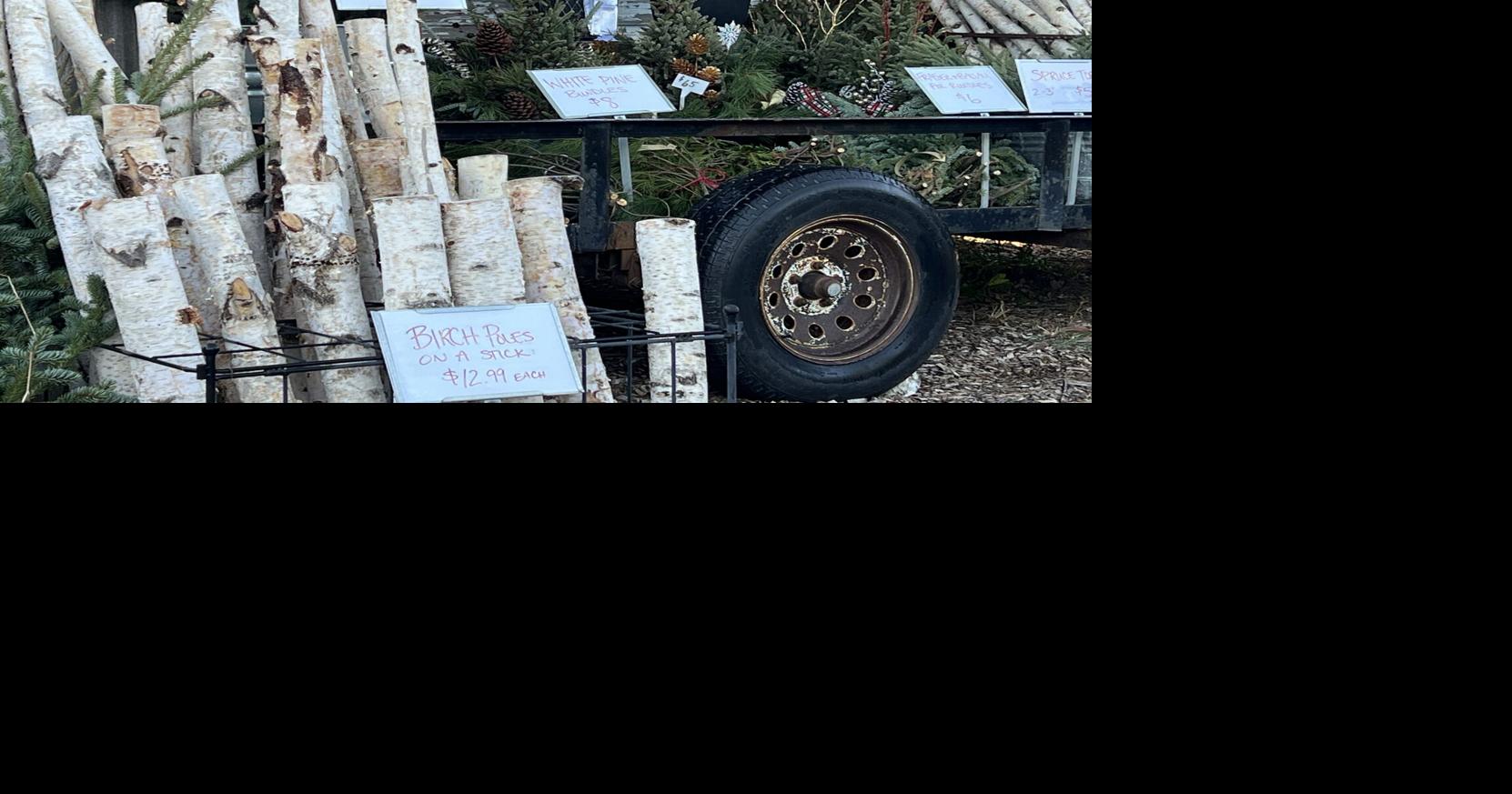 Curvue Tree Farm + Gardens prepares for busiest time of year