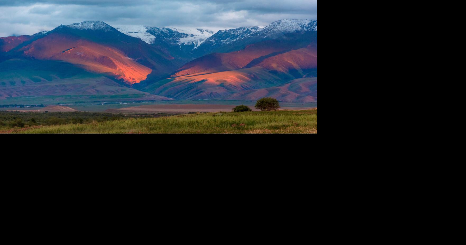 DNA analysis reveals source of Black Death