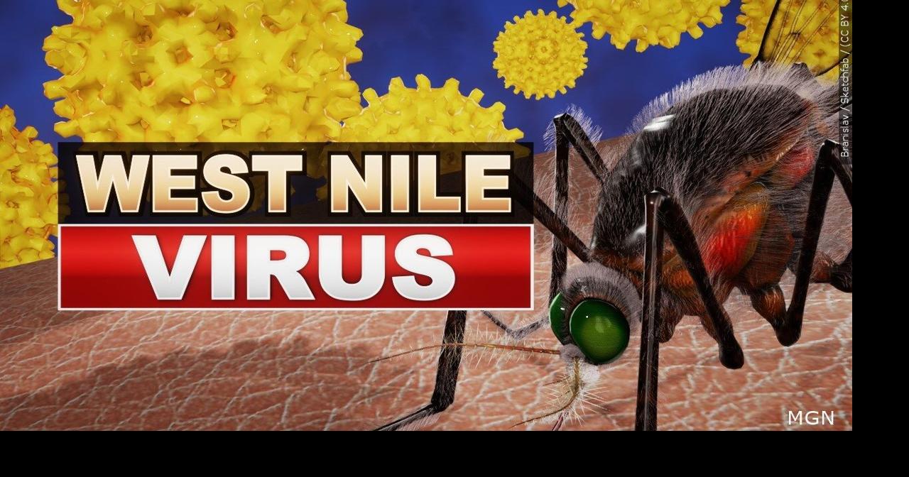 St. Croix County health officials urge residents to take precautions after West Nile virus found in mosquitoes