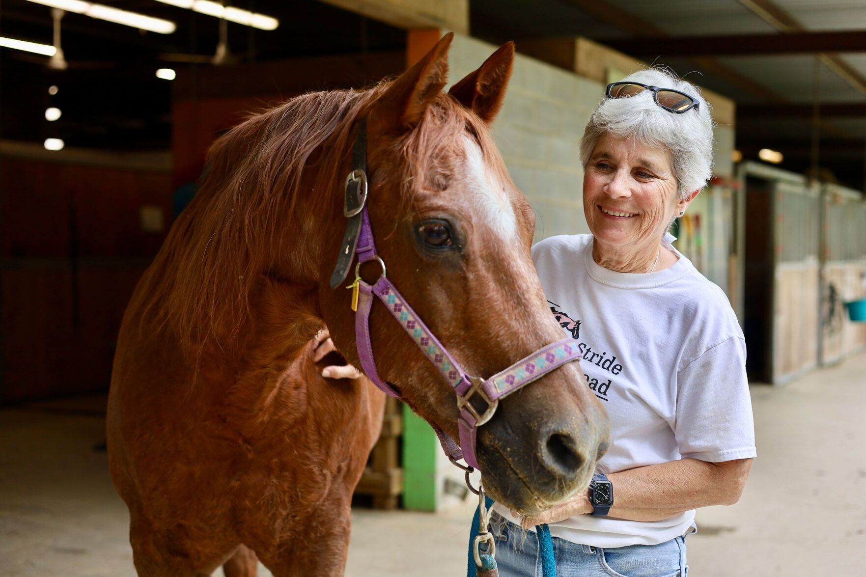 How Horses Can Soothe The Soul And Help Your Mental Health | Health ...