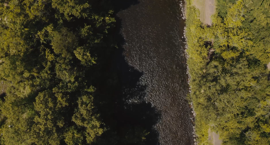 Guilty verdicts issued in Apple River stabbing case Crime and Courts