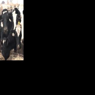 What do new 15% tariffs mean for Wisconsin farmers?