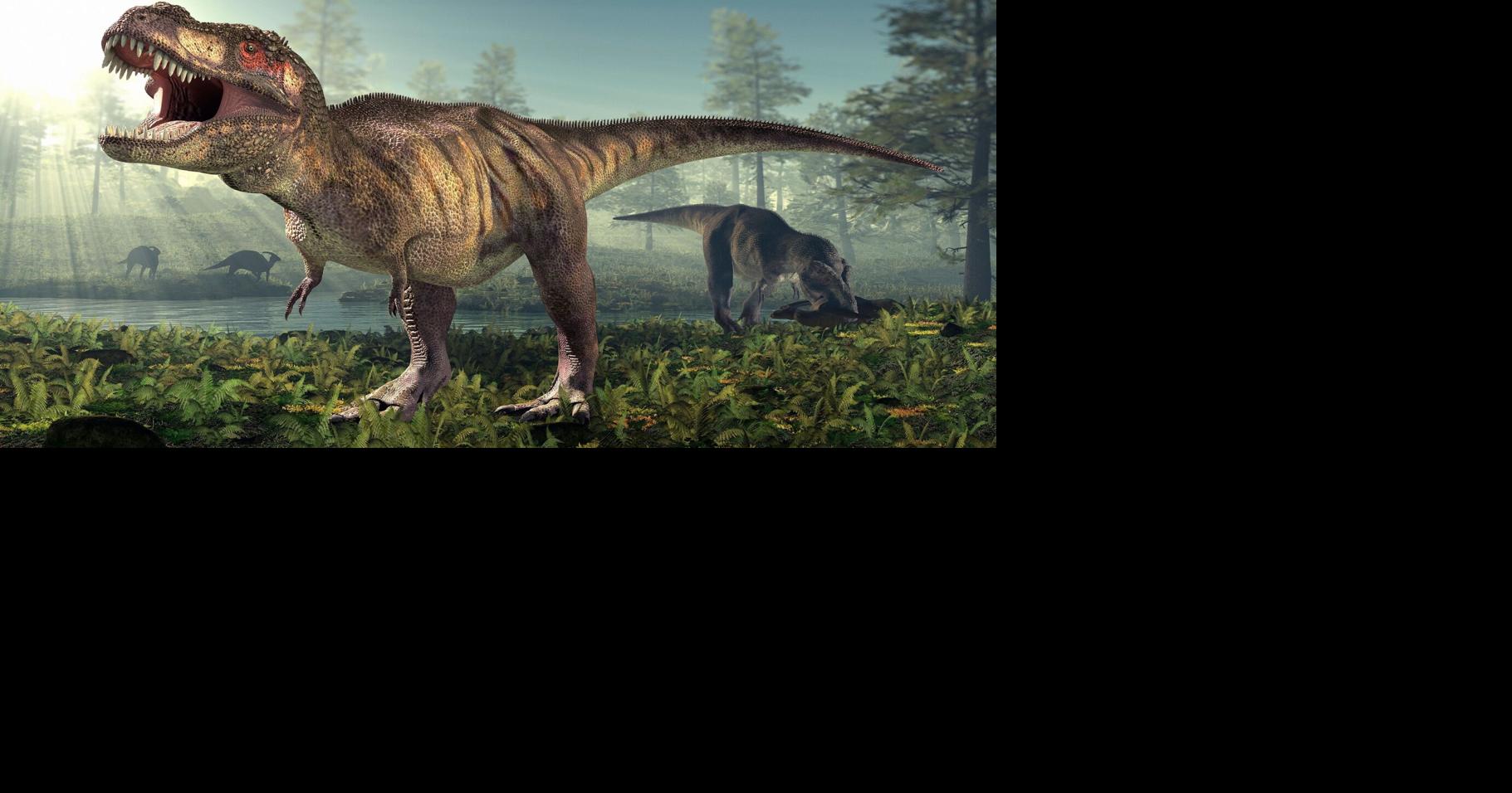 Fossil analysis changes what paleontologists know about how long T. rex took to grow full size