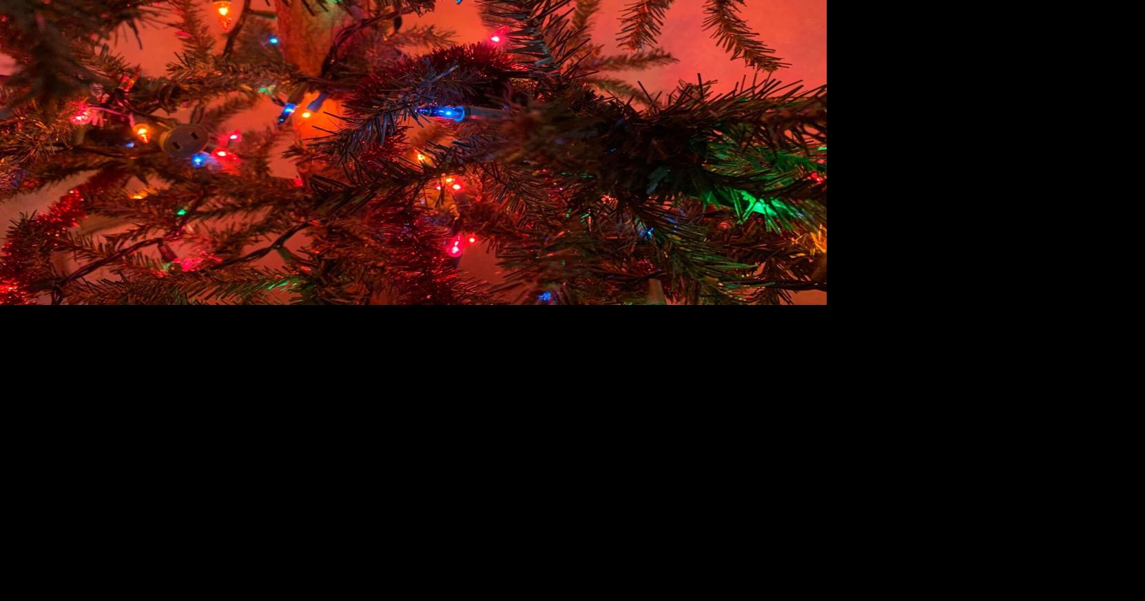 How to prevent Christmas tree fires News