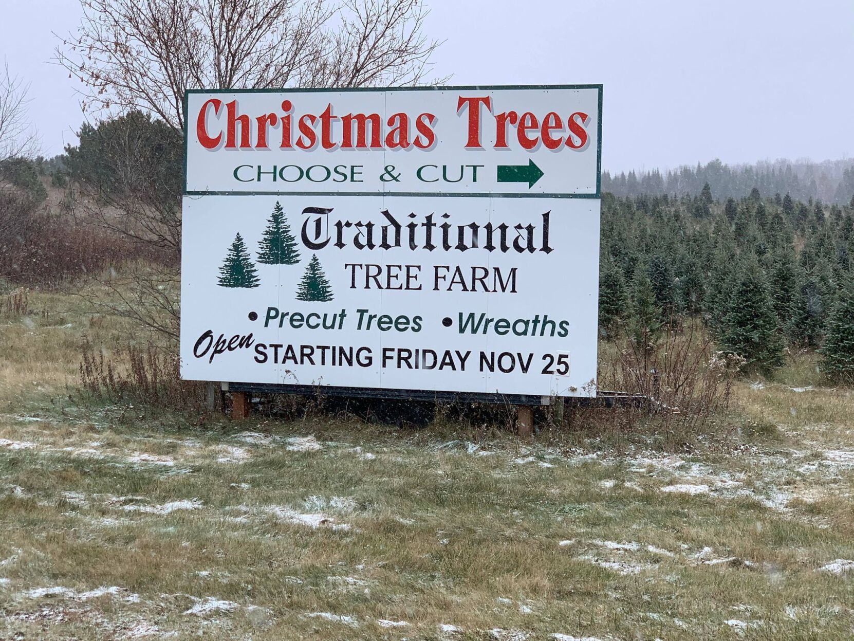 Traditional Tree Farm in Chippewa Falls preparing to open for the