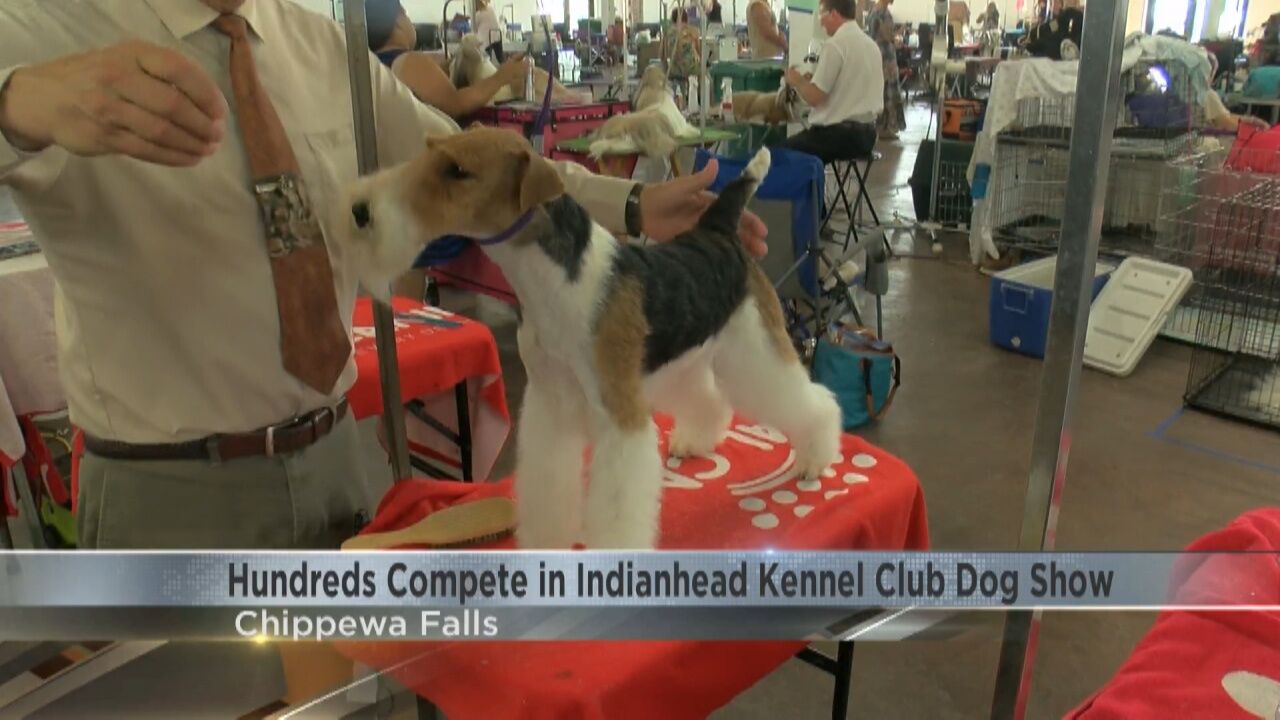 Hundreds Compete in Indianhead Kennel Club Dog Show Video wqow