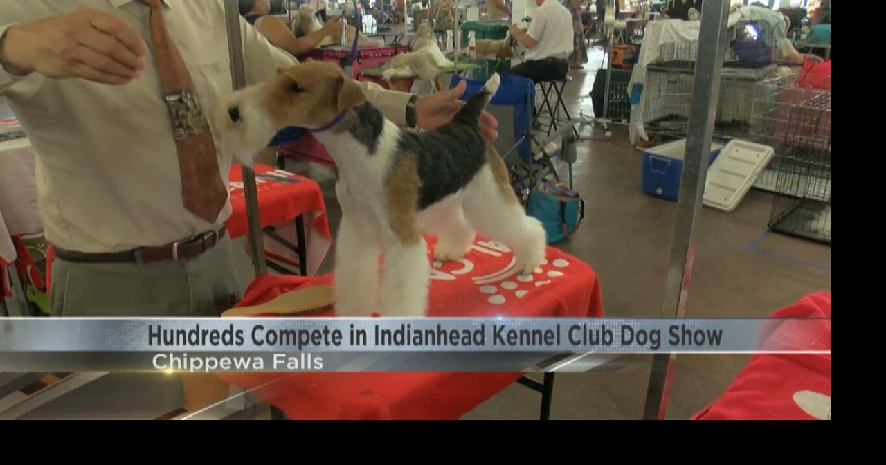Hundreds Compete in Indianhead Kennel Club Dog Show Video