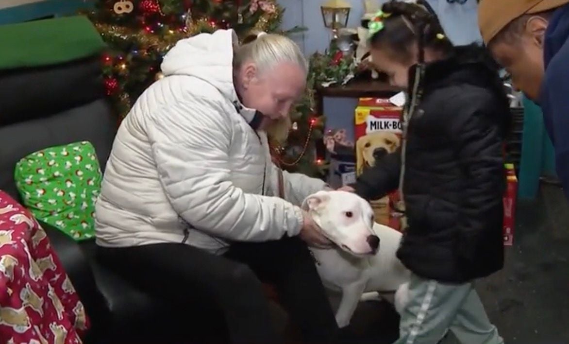 'A Christmas Miracle': Family Reunited With Lost Dog After It Was ...