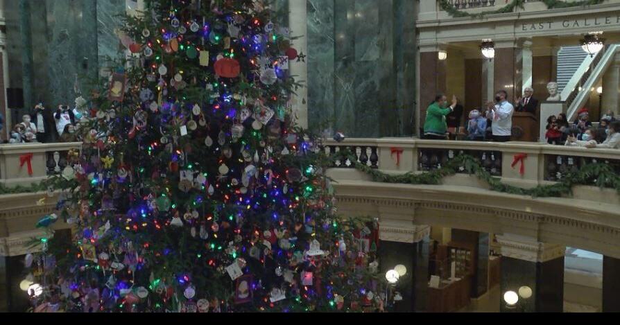 Students invited to make ornaments for ‘Wisconsin Waters’ themed capitol tree